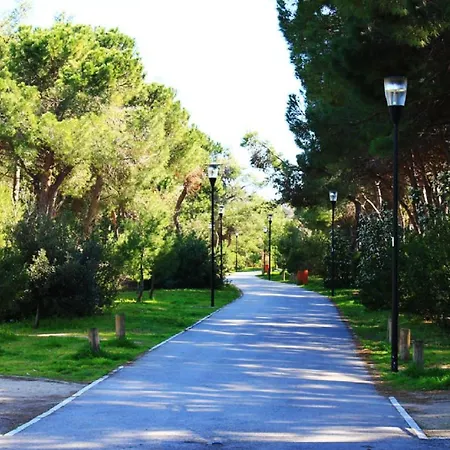 Casa Klimt Vicinissima Al Mare Parcheggio Privato Gratuito Se Disponibile Apartment