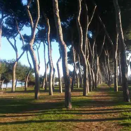 Casa Klimt Vicinissima Al Mare Parcheggio Privato Gratuito Se Disponibile *