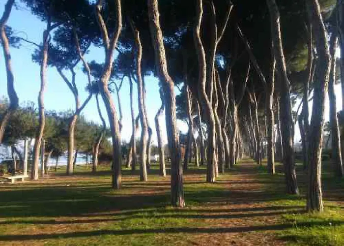 Casa Klimt Vicinissima Al Mare Parcheggio Privato Gratuito Se Disponibile *